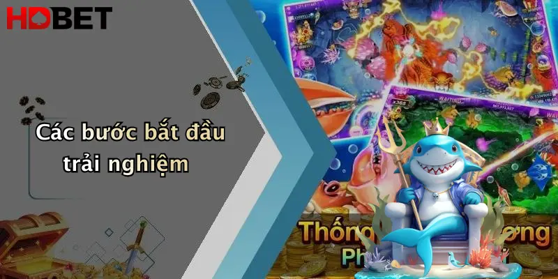 Các bước bắt đầu trải nghiệm