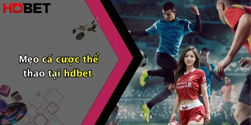 Mẹo cá cược thể thao tại hdbet